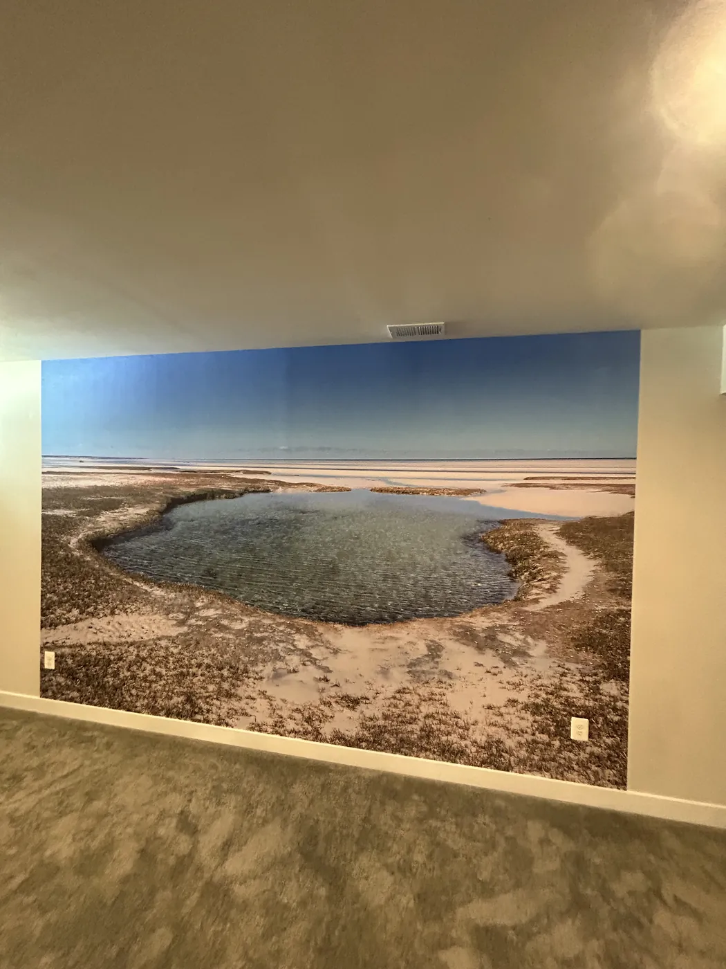 Large coastal landscape photo mural on an accent wall — wallpaper installation by ProKir Design