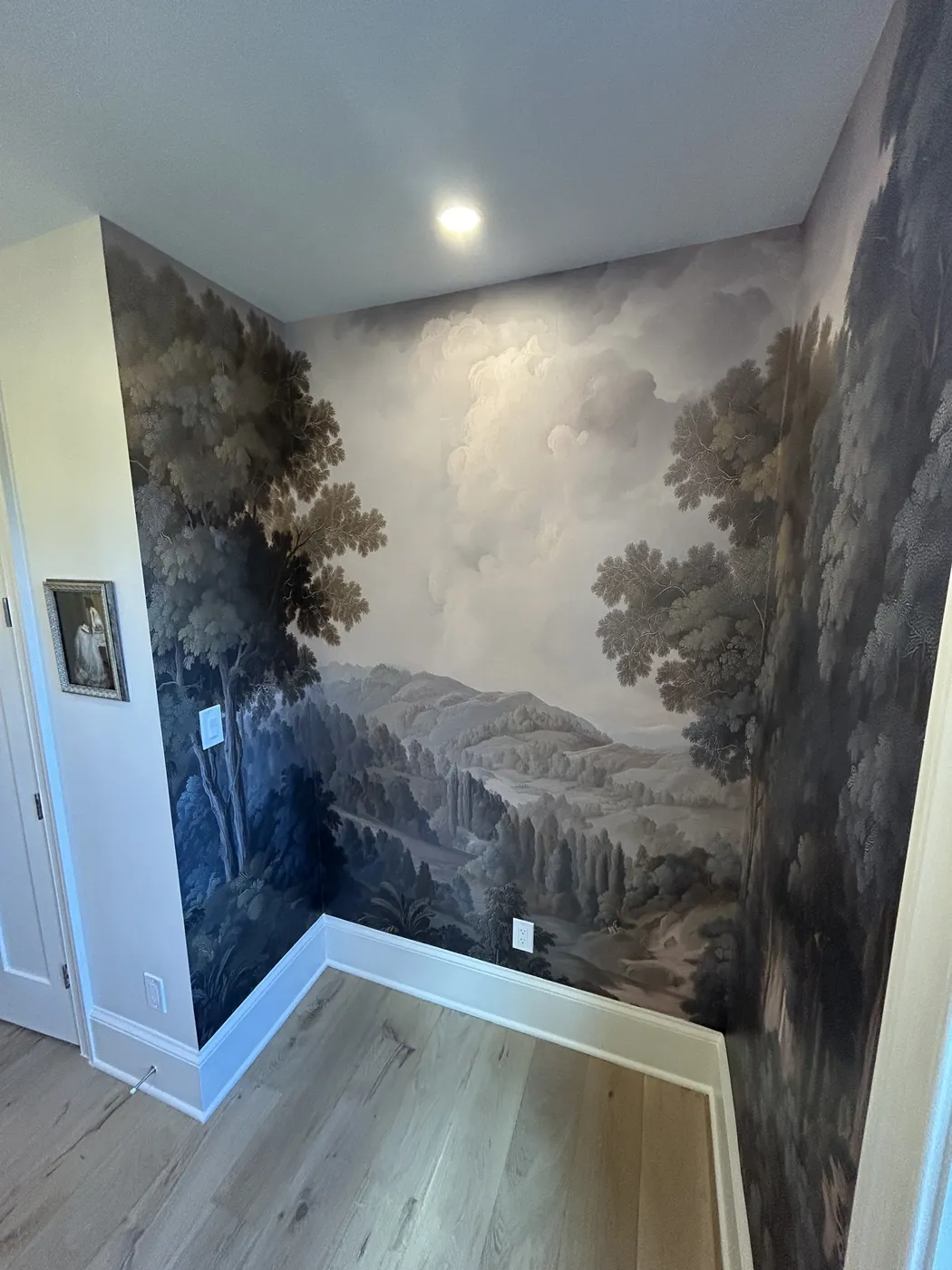 Scenic mountain and forest landscape mural in a bedroom — wallpaper installation by ProKir Design