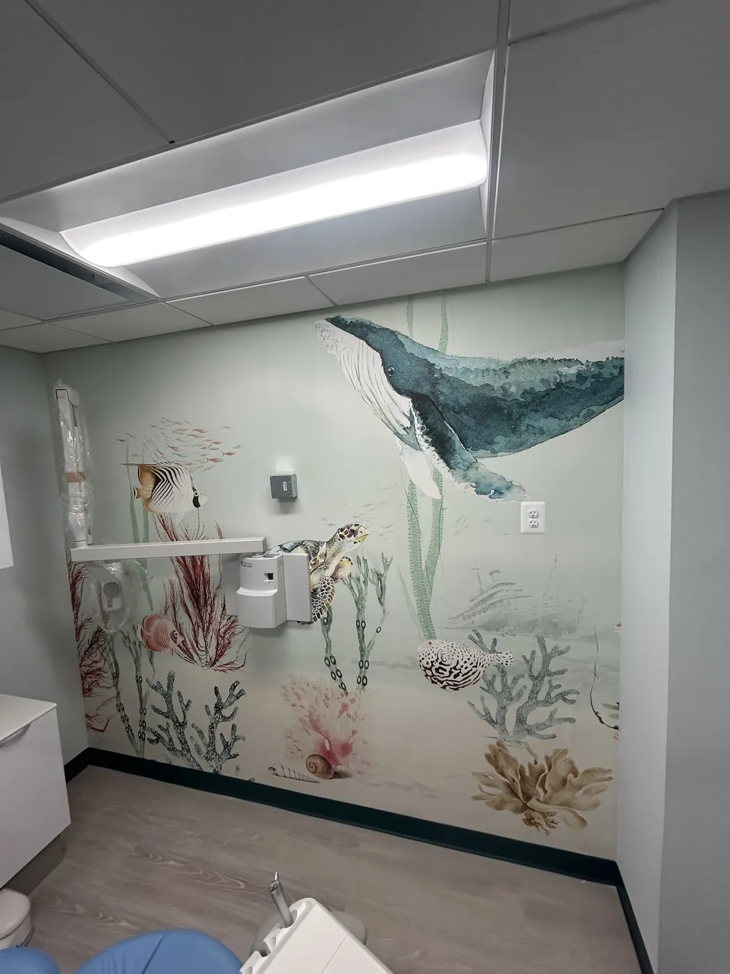 Whale and ocean mural in a dental treatment room — wallpaper installation by ProKir Design